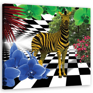 Wandbilder, Bunte Zebra Naturtiere