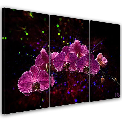 Dreiteiliges Wandbild, Orchidee auf dunklem Hintergrund