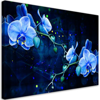 Wandbilder, Blaue Orchideenblume