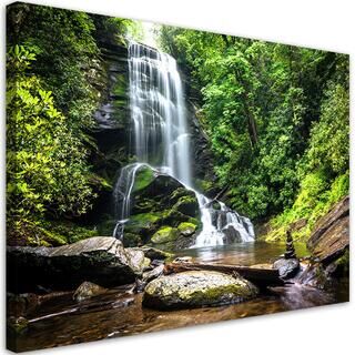 Wandbilder, Wasserfall in einem grünen Wald