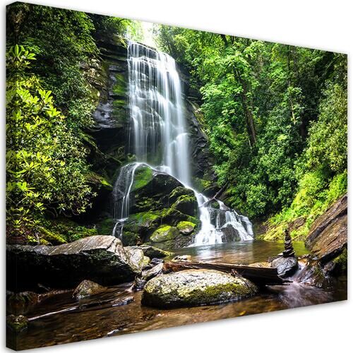 Wandbilder, Wasserfall in einem grünen Wald