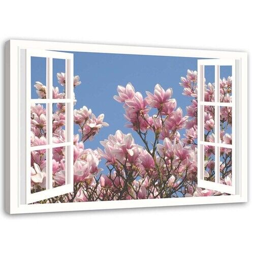 Wandbilder, Blühende Magnolie vor dem Fenster