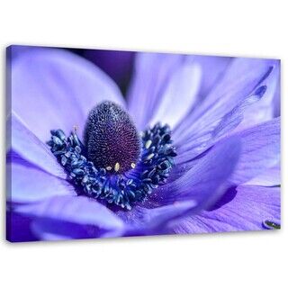 Wandbilder, Blau-violette Blume