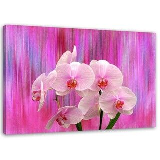 Wandbilder, Orchideen in Lila und Rosa