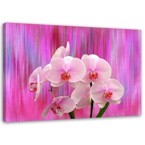 Wandbilder, Orchideen in Lila und Rosa