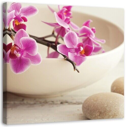 Wandbilder, Rosa Zen-Orchideen Shabby Chic