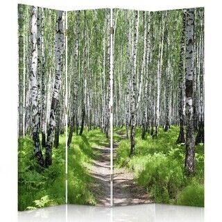 Raumteiler Beidseitig, Weg durch den Birkenwald - (145x170)