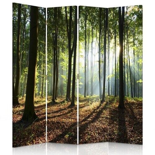 Raumteiler Beidseitig, Sonnenstrahlen im Wald - (145x170)