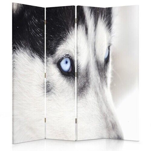 Raumteiler Beidseitig drehbar, Sibirischer Husky - (145x170)