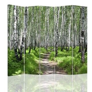 Raumteiler Beidseitig, Weg durch den Birkenwald - (180x170)