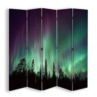 Raumteiler Beidseitig drehbar, Aurora über dem Wald - (180x170)