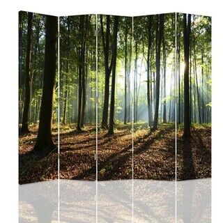Raumteiler Beidseitig drehbar, Sonnenstrahlen im Wald - (180x170)