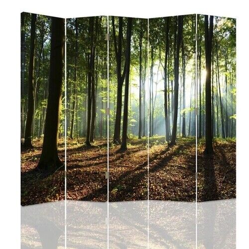 Raumteiler Beidseitig drehbar, Sonnenstrahlen im Wald - (180x170)