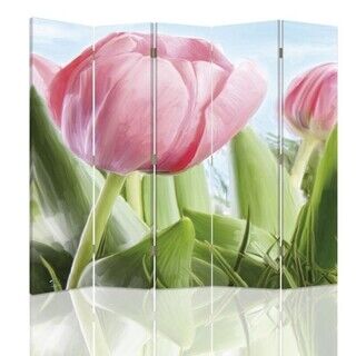 Raumteiler Beidseitig drehbar, Eine ausgewachsene rosa Tulpe - (180x170)