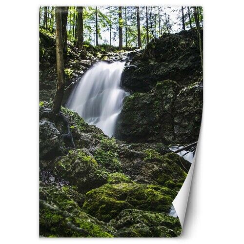 Tapete, Wasserfall im Wald