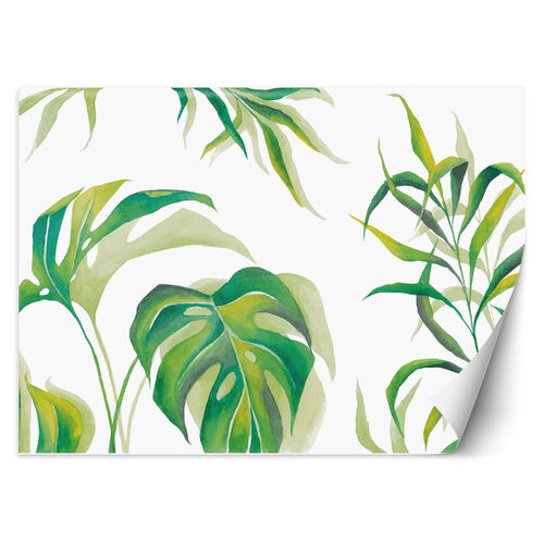 Tapete, Monstera-Blätter