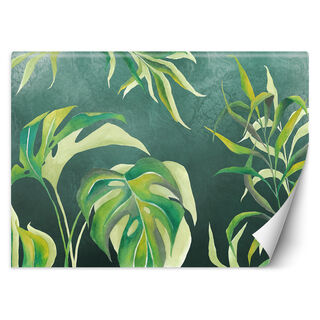 Tapete, Monstera-Blätter