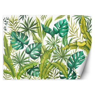 Tapete, Monstera-Blätter