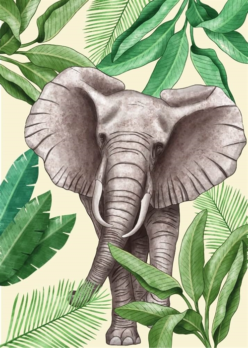 Koala-Illustration