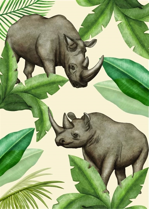 Koala-Illustration