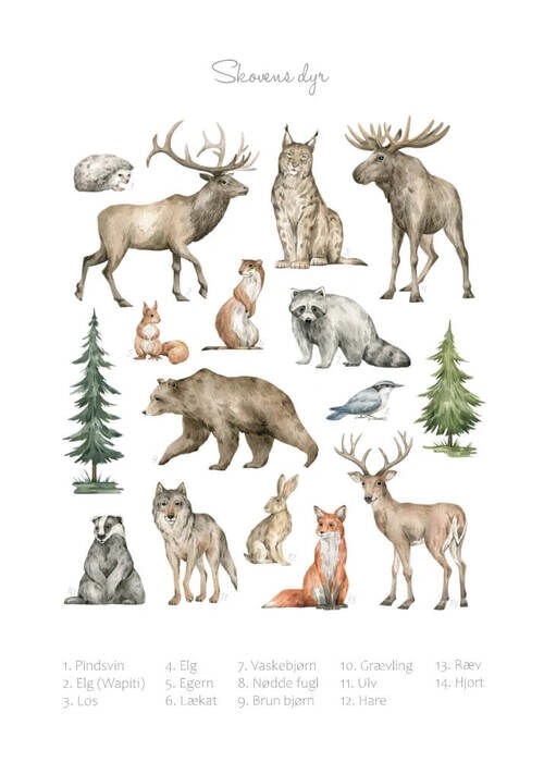 Lernposter - Tiere des Waldes