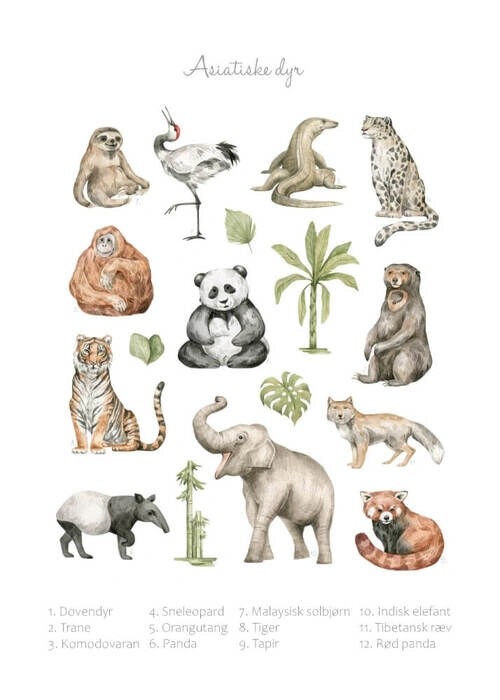 Lernposter - Asiatische Tiere