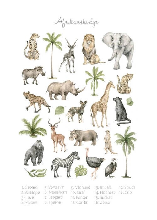 Lernposter - Afrikanische Tiere