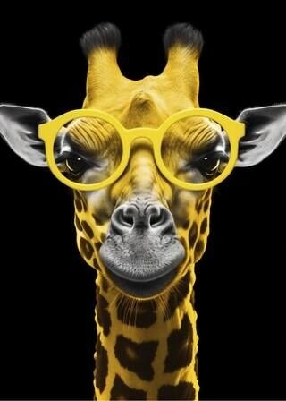 Giraffe mit Brille - Poster 