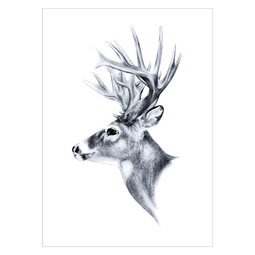 Poster mit einem von der Seite gezeichneten Hirsch