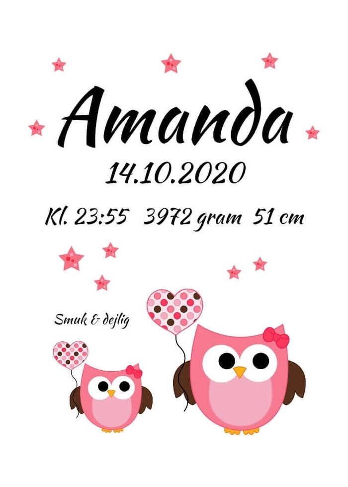 Geburtsposter mit Eulen-Rosa-Design