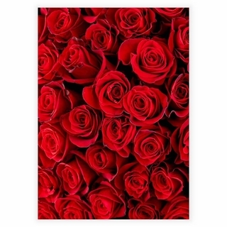 Poster - Rote Rosen