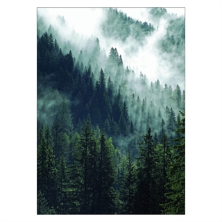 Poster - Bergwald und Nebel