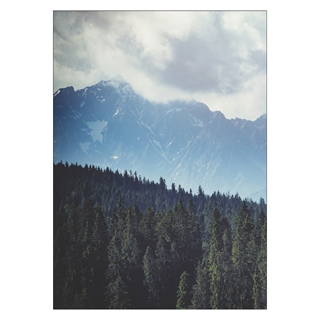Poster - Grüne Bergwaldlandschaft