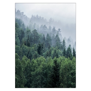 Poster - Bäume am Berg mit Nebel