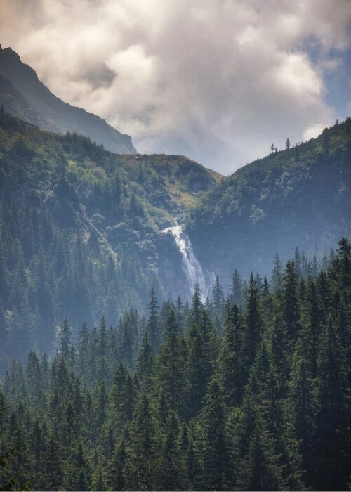 Poster - Bäume auf einem Berg mit Wasserfall