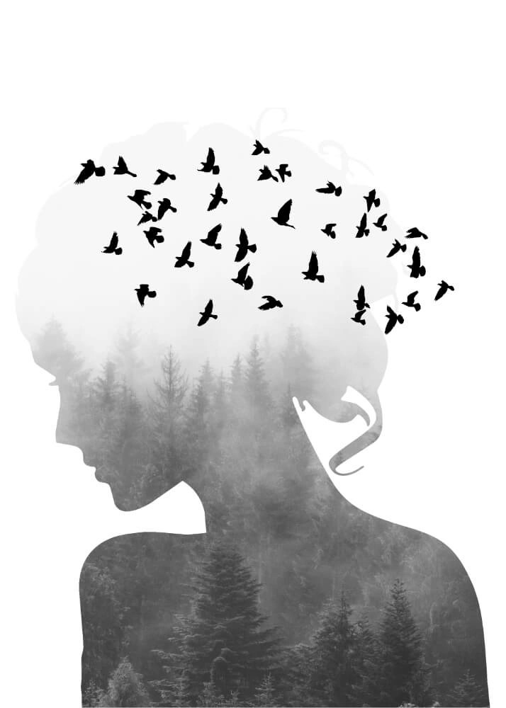 Poster - Silhouette Frauen und Vögel