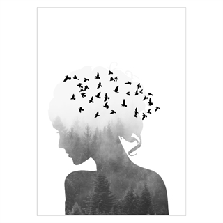 Poster - Silhouette Frauen und Vögel