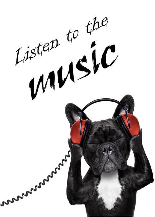 Musik hören - Poster